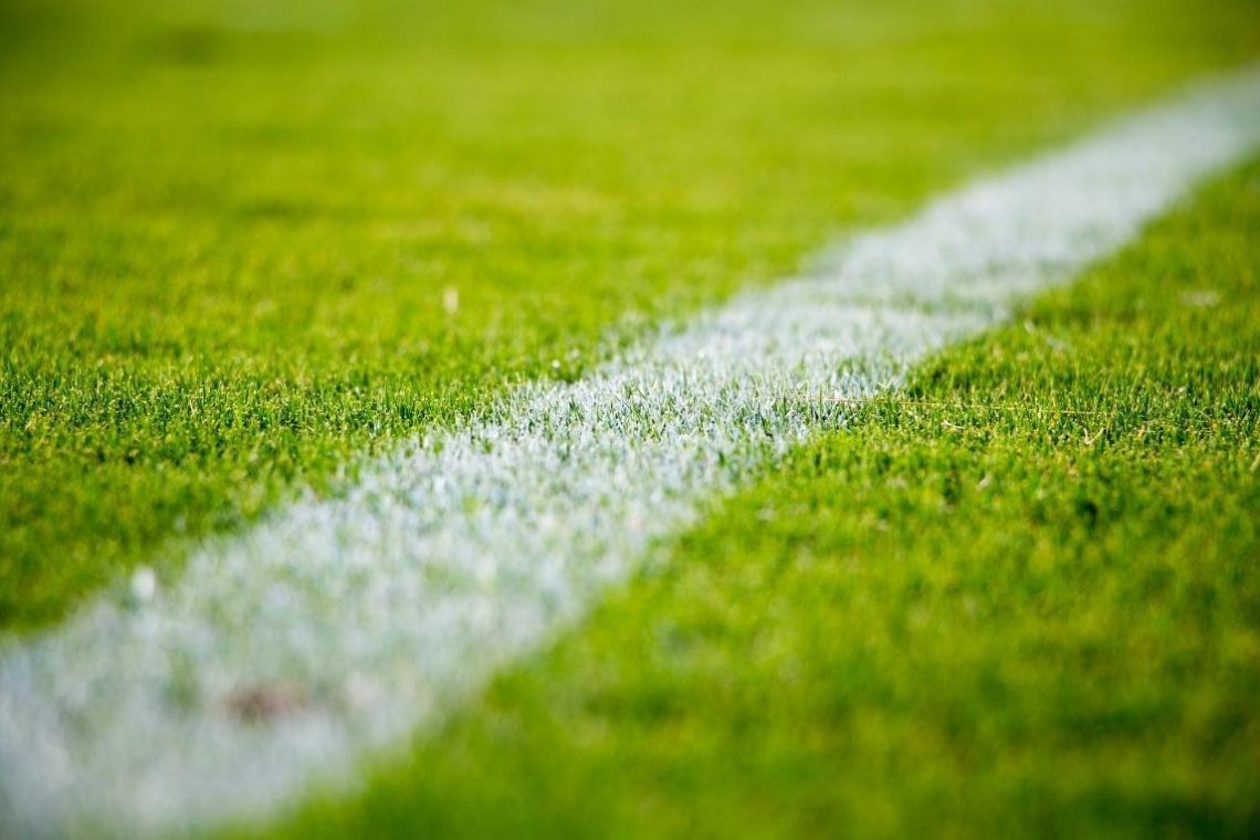 Ekipa SN: Olimpiji se obeta kazen NZS zaradi plačilne nediscipline