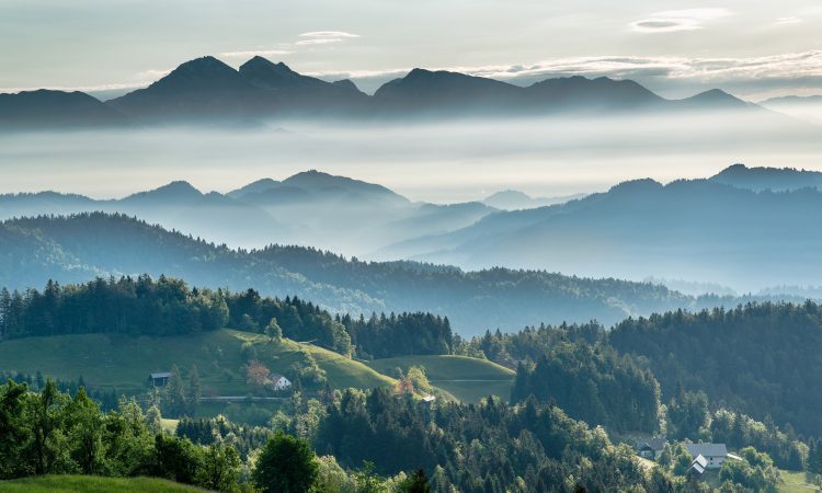Lokalne volitve: Kandidatov nekoliko manj kot pred štirimi leti