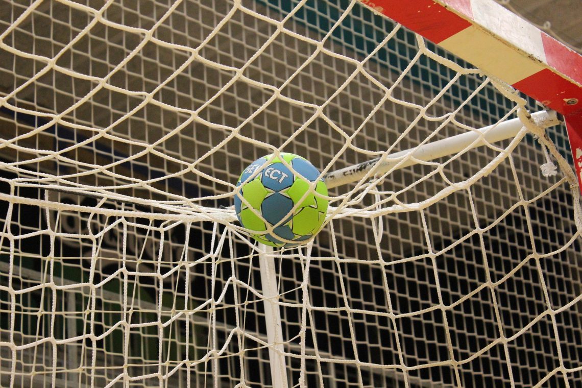 Celje Pivovarna Laško - Slovenj Gradec 29:23