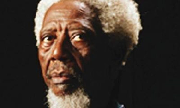 Nigerijcu Demasu Nwoki zlati lev za življenjsko delo beneškega arhitekturnega bienala