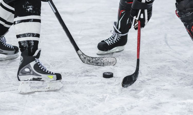 Vancouver doma v NHL premagal Anaheim