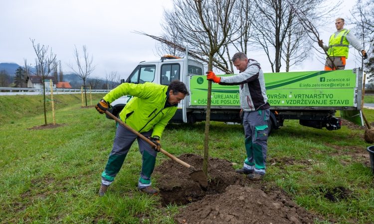 Celje bo s pomočjo evropskih sredstev razvijalo zeleno urbano prihodnost
