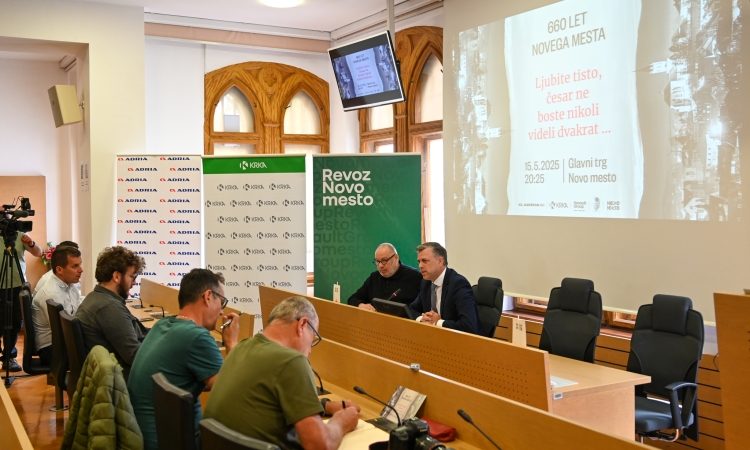 Novo mesto bo 660. obletnico proslavilo z umetniško slovesnostjo na Glavnem trgu