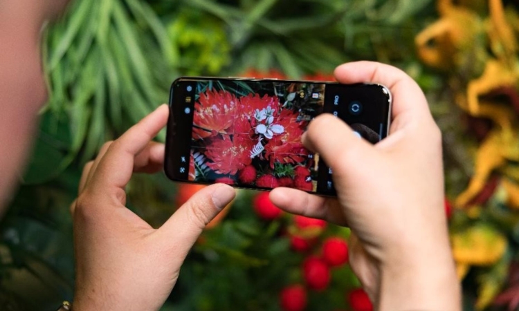 Honor 400 omogoča vrhunsko fotografijo s pomočjo umetne inteligence