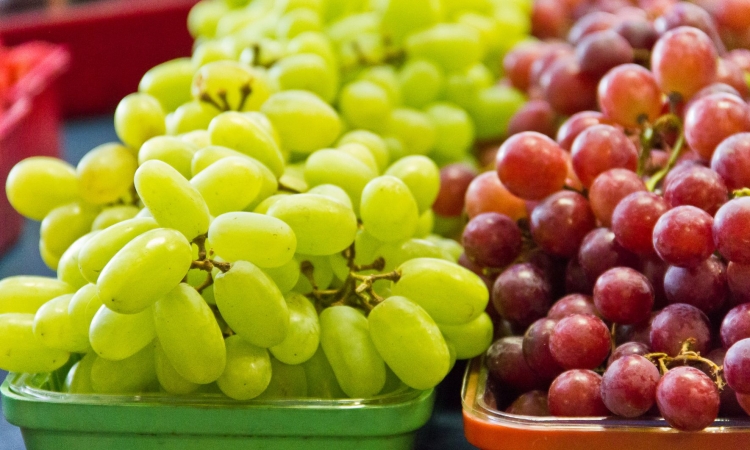 Grozdje in vitamin A sta ključna zaveznika za dober vid in zdravo staranje
