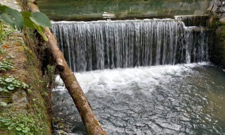 Čiščenje strug vodotokov na Vrhniki