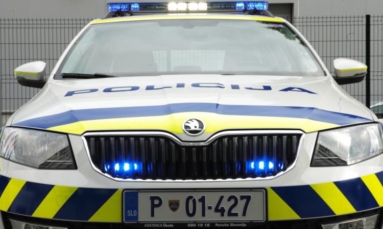 Lažne informacije o najdbi trupel v Kočevju