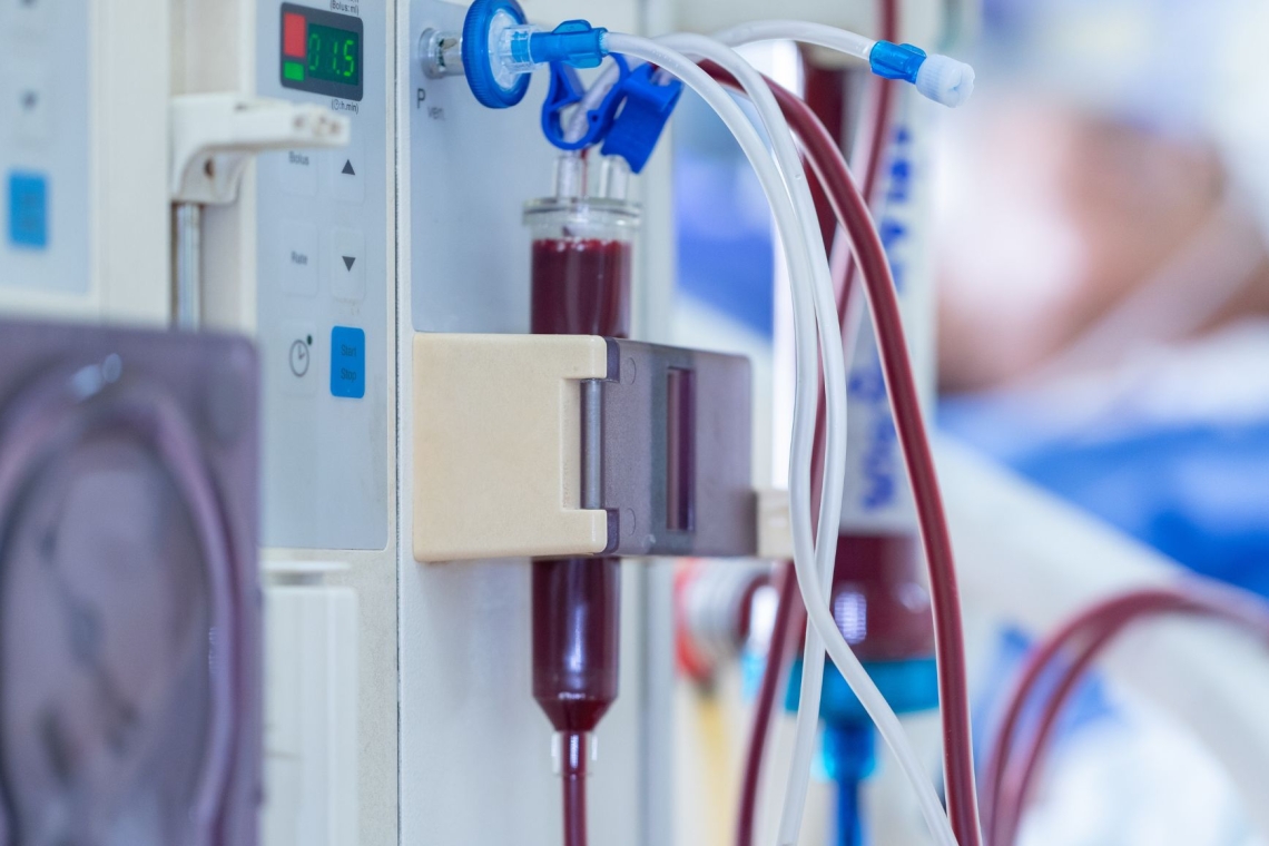 Z vrhunskimi vini do novega dializnega aparata za šempetrsko bolnišnico